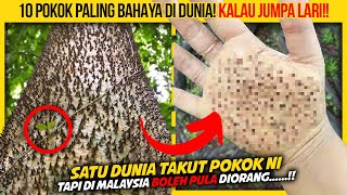 10 POKOK PALING BAHAYA DI DUNIA KORANG KENA LARI KALAU JUMPA [upl. by Adnicul925]