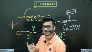 L4 Cymose amp Racemose Inflorescence  Morphology in Flowering Plants  11th Class Biology ft Vipin [upl. by Brnaba284]