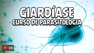 CICLO DA GIARDÍASE  CURSO DE PARASITOLOGIA│ Biologia com Patrick Gomes [upl. by Eecyal]