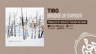 Tibo  Braqueur damour Noctambule Album [upl. by Sanez16]