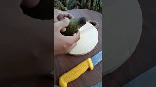 Cutting Avocado Fruit 🥑 [upl. by Asiul]