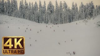 4K Winter Ski Resort Video with Soothing Music for Relaxation  Summit at Snoqualmie USA [upl. by Eleon]