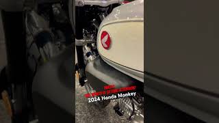 All New 2024 Honda Monkey HURRY This vehicle is getting attention honda monkey murfreesborotn [upl. by Hsac]