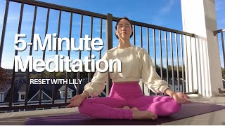 5 Minute Guided Meditation BeginnerFriendly [upl. by Rediah]