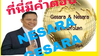 NESARA GESARA กำลังมารับเงิน เงินดิจิทัล ตลาด crypto digitalAtlantisExchange [upl. by Nanor831]