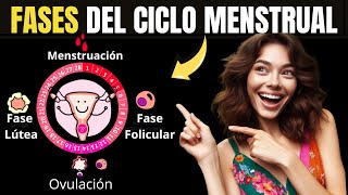 FASES DEL CICLO MENSTRUAL  Las 4 ETAPAS de la MENSTRUACIÓN 🩸 [upl. by Jorgenson]