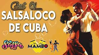 Best of Salsaloco De Cuba  Salsa Bachata Samba Mambo💃🌹💃 [upl. by Barrie81]