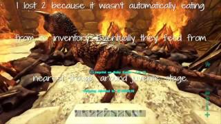 Carno egg hatching Ark Survival Evolved PS4 [upl. by Zulaledairam]