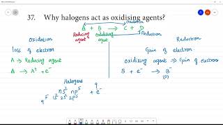 Why halogens act as oxidising agents [upl. by Anileh]