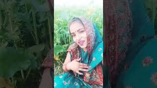 पगली दिखाएं अगरबत्तीshortvideo rukamaofficial bhojpuri song [upl. by Nnaylloh]