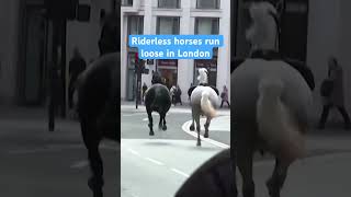 Riderless horses recovered after running loose through London several people injured shorts [upl. by Carree]