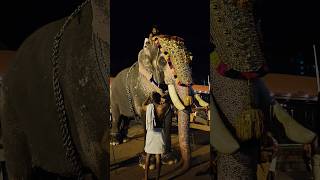 ഒരുക്കുന്നെങ്കിൽ ഇങ്ങനെ വേണം aana keraleeyan keralaelephant [upl. by Zanze]