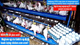 5000 thousand plus sa 48heads Magkano nga ba ang kinikita ng 48 heads laying chicken arawaraw [upl. by Rosette]