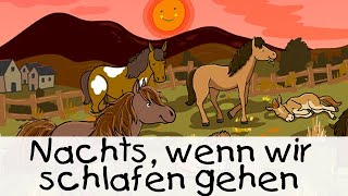 😴 Nachts wenn wir schlafen gehen  Geschichten für Kinder [upl. by Lupiv]