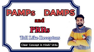 Immunology  PAMPs  DAMPs And PRRs  Clear Concept Urdu  Hindi  Dr Rizwan Hafeez [upl. by Cowley]