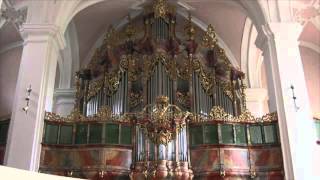 Jürgen Natter spielt Bach Partite diverse sopra quotSei gegrüßet Jesu gütigquot BWV 768 [upl. by Euqinay]