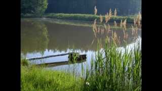 Naturgeräusche am Waldweiher [upl. by Ibloc]