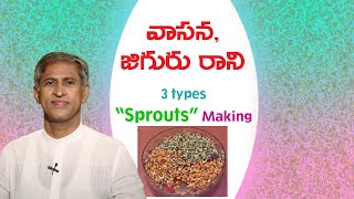 Sprouts Making Recipe In Telugu  Manthena Satyanarayana Raju Latest Videos  Manthena Official [upl. by Elva536]