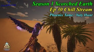 ARK Ascended Season 1  Ep 30 Chill Stream Yuty Hunt [upl. by Vanzant]