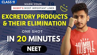 Excretory Products and their Elimination Class 11  Biology  For NEET  Full Revision In 20 Minutes [upl. by Reyem515]