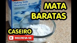 MATA BARATAS CASEIRO EM POUCOS MINUTOS [upl. by Esorbma]