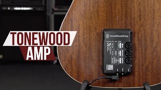 Tonewood Amp  An Amazing Acoustic Guitar Enhancement [upl. by Chapen861]