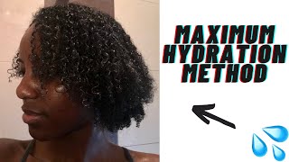 MAXIMUM HYDRATION METHOD  TYPE 4 HAIR APPROVED ✅ 💦 5 STEPS [upl. by Ynahteb]