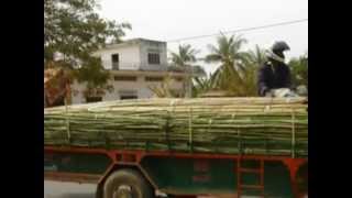 UNTAC Mission In Cambodia 19921993 [upl. by Aivin]