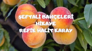 Şeftali Bahçeleripeach gardens sesliöyküler seslikitaphikaye audiobook seslendirme dubbing [upl. by Anoynek]