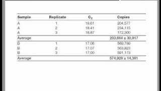 Real Time QPCR Data Analysis Tutorial [upl. by Yi715]