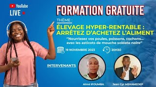 Formation GRATUITE sur la Production des Asticots des Mouches Soldat Noire [upl. by Anitsud]