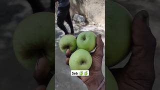 nagpur cyclists in travel kullu Manali cycletravel travel subscribe youtubeshorts nature [upl. by Altis509]