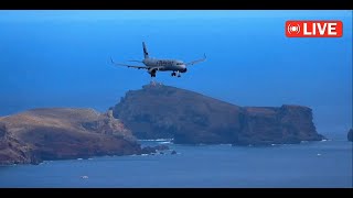 Madeira Airport Live Action LPMA Spotter ✈️ 23102024 [upl. by Claud669]