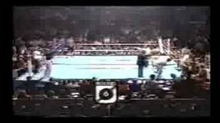 Thomas Hearns vs Dennis Andries rounds 5 and 6 [upl. by Miner40]