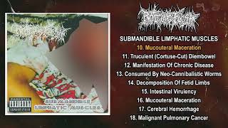 Rotting Flesh  Submandible Limphatic Muscles FULL ALBUM 1995  Goregrind  Deathgrind  Grindcore [upl. by Okier52]