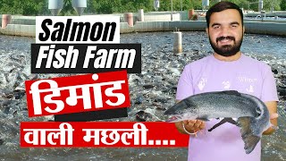 Salmon fish farming in india  सलमान मछली पालन  west fish farming  Rawai fish farm fishing [upl. by Hsirt]