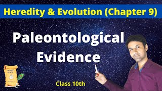 Palaeontological Evidence  Chapter 9  Class 10  ScienceWorld [upl. by Knah490]