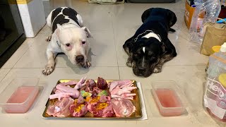 DDO MUK Oampn🐶🐶 Pit Bulls eat RAW combo ASMR MUKBANG 犬が生の肉を食べる咀嚼音 โอลิ นมมี่ EP036 of 2024 [upl. by Inneg]