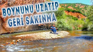 BOYNUNU UZATIP GERİ SAKINMA [upl. by Hairahs]