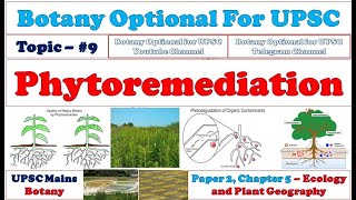 Phytoremediation Types Advantages Limitations Botany Lectures By Dr Pravin Ekade [upl. by Hnim]