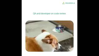 The Code Review Day QA vs Developer [upl. by Adiela]