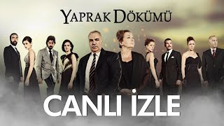 Yaprak Dökümü Canlı Yayın [upl. by Ynnad]