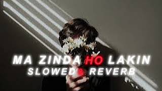 MA ZINDA HO LAKIN KAHA ZINDAGI HA SLOWED amp REVERB [upl. by Ihpen]