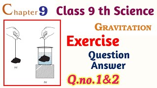 Class 9 Gravitation Exercise Question number 1amp2 full explanation [upl. by Renny149]