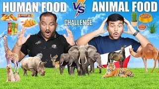 ANIMAL FOOD VS HUMAN FOOD EATING CHALLENGE  Food Eating Competition  Food Challenge [upl. by Nyletak]