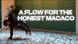 A FLOW FOR THE HONEST MACACO [upl. by Cutty559]