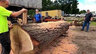 quarter sawing a monster white oak log  463 [upl. by Fitzgerald]