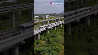 World’s FASTEST Train Shanghai Maglev Blasts Through at 431 kmh fishtale facts catwhisperer [upl. by Ardnak339]