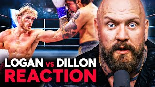 The Truth about Logan Paul vs Dillon Danis [upl. by Ahsele490]