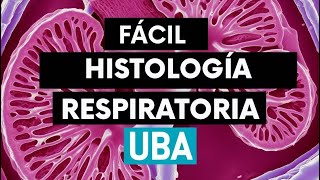 Histología Respiratoria [upl. by Sackey60]